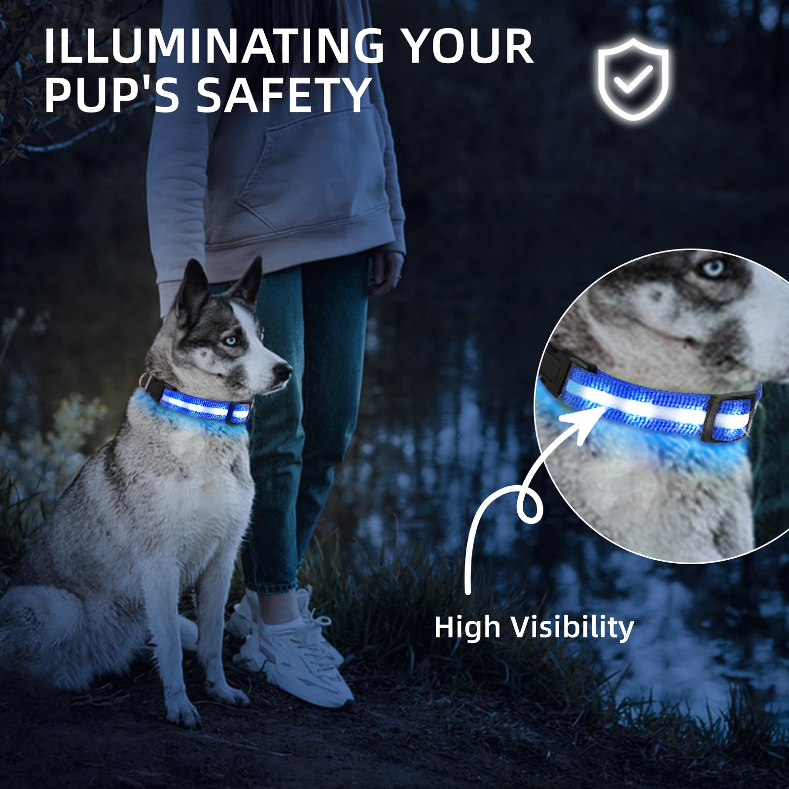 PetIsay LED dog collar blue adjustable fit for comfort during adventures.