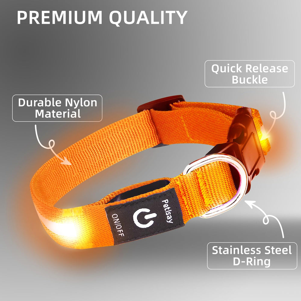 PetIsay Orange dog collar at night for safer neighborhood walks.