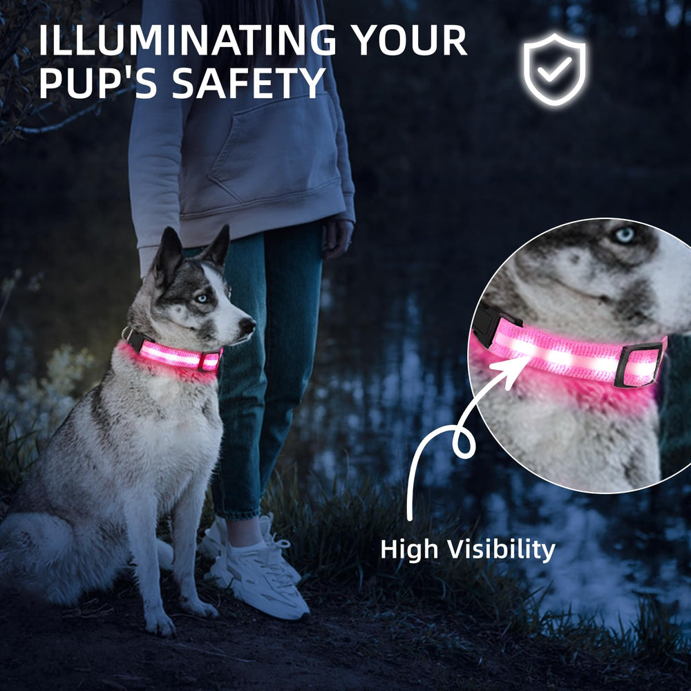 PetIsay Super Bright LED Dog Collar at night walk mode enhances visibility and safety.