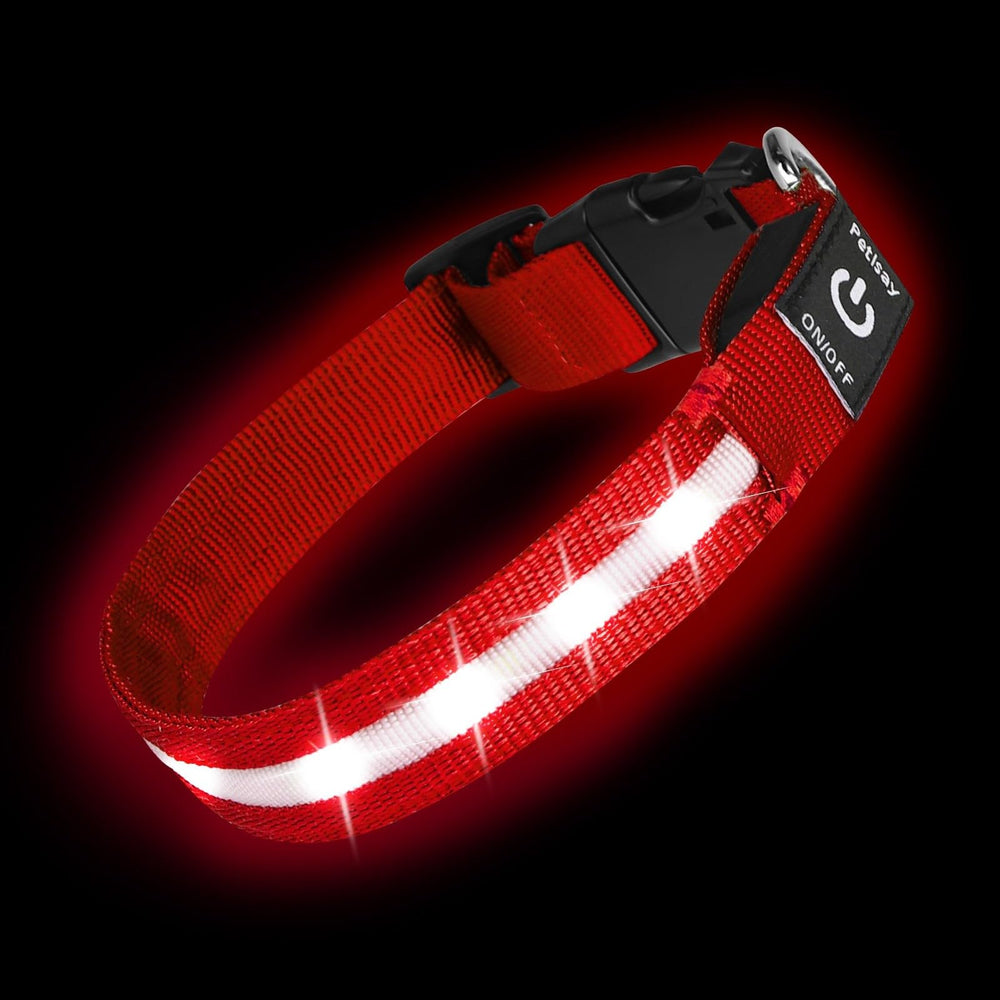 PetIsay Super Bright LED Dog Collar worn on a red dog at dusk for safer night walks.