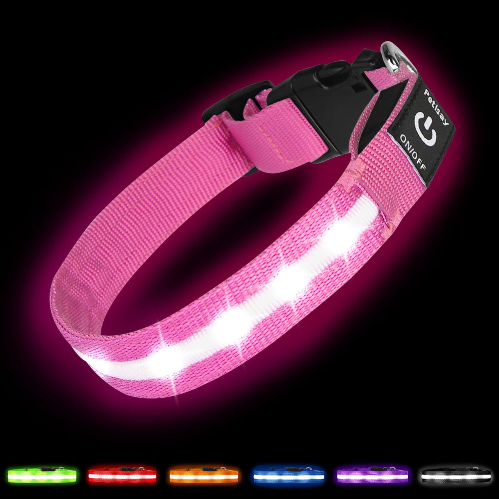 PetIsay Super Bright LED Dog Collar on soft nylon strap boosts everyday safety during walks.