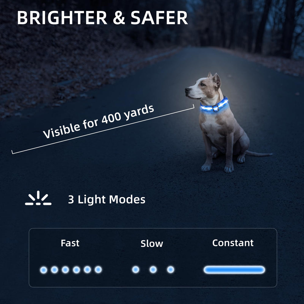 PetIsay USB-C rechargeable dog collar blue, quick-charge for extended outings.