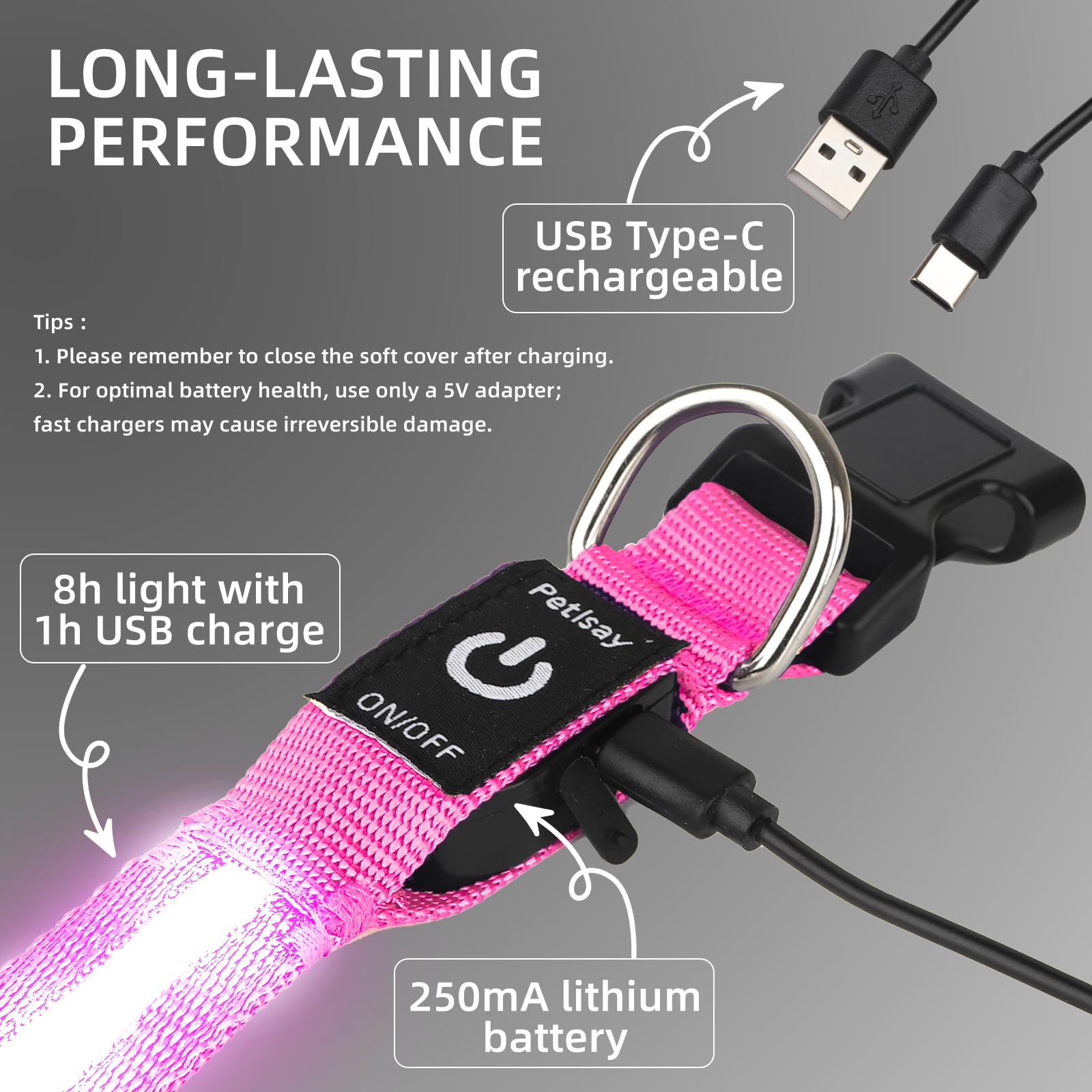 PetIsay USB-C rechargeable dog collar charging image highlights quick, convenient power on the go.