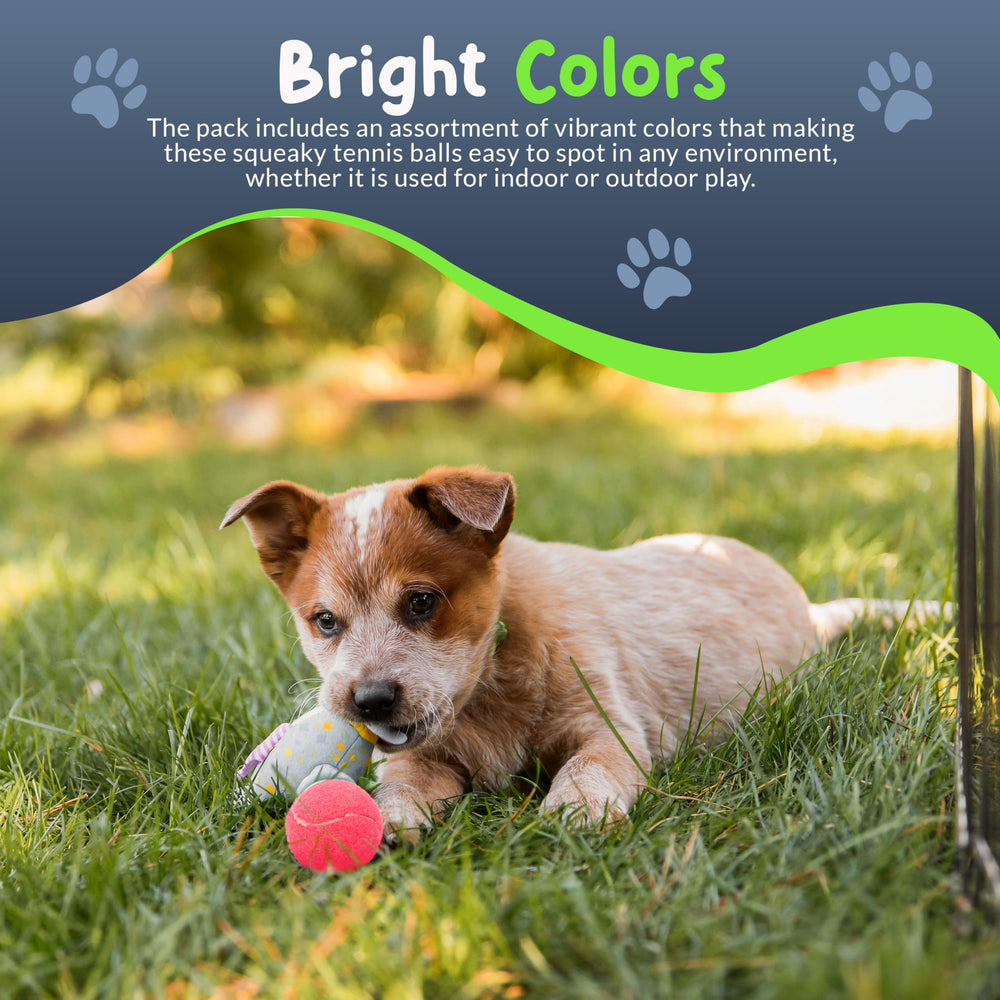 Petite Paws built-in squeaker promotes interactive playtime with dogs.