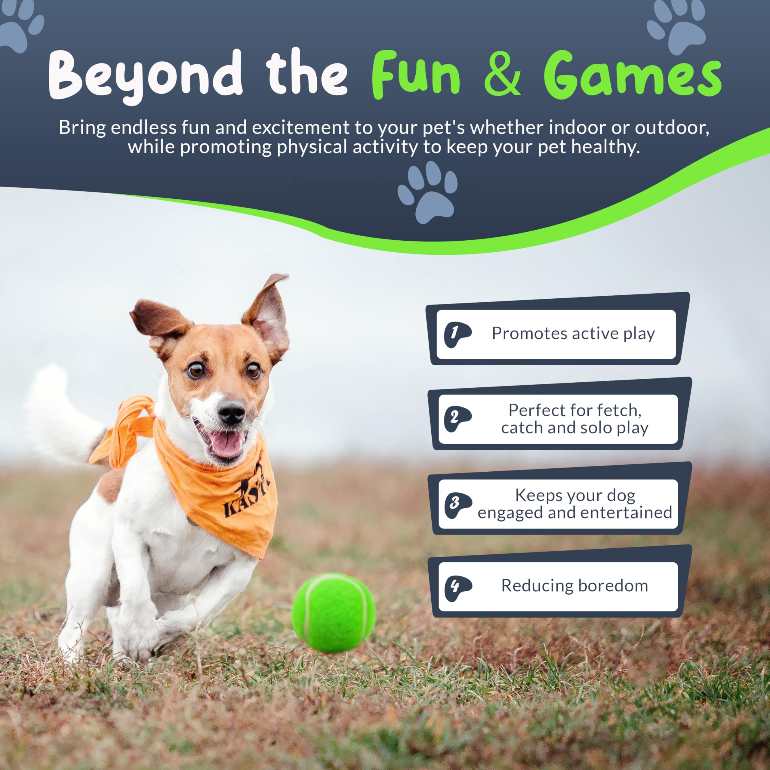 Petite Paws mesh net storage bag keeps balls organized between sessions.