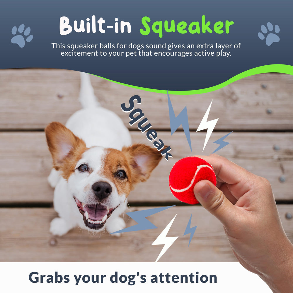 Petite Paws small-dog tennis ball 2.5-inch diameter for tiny breeds.