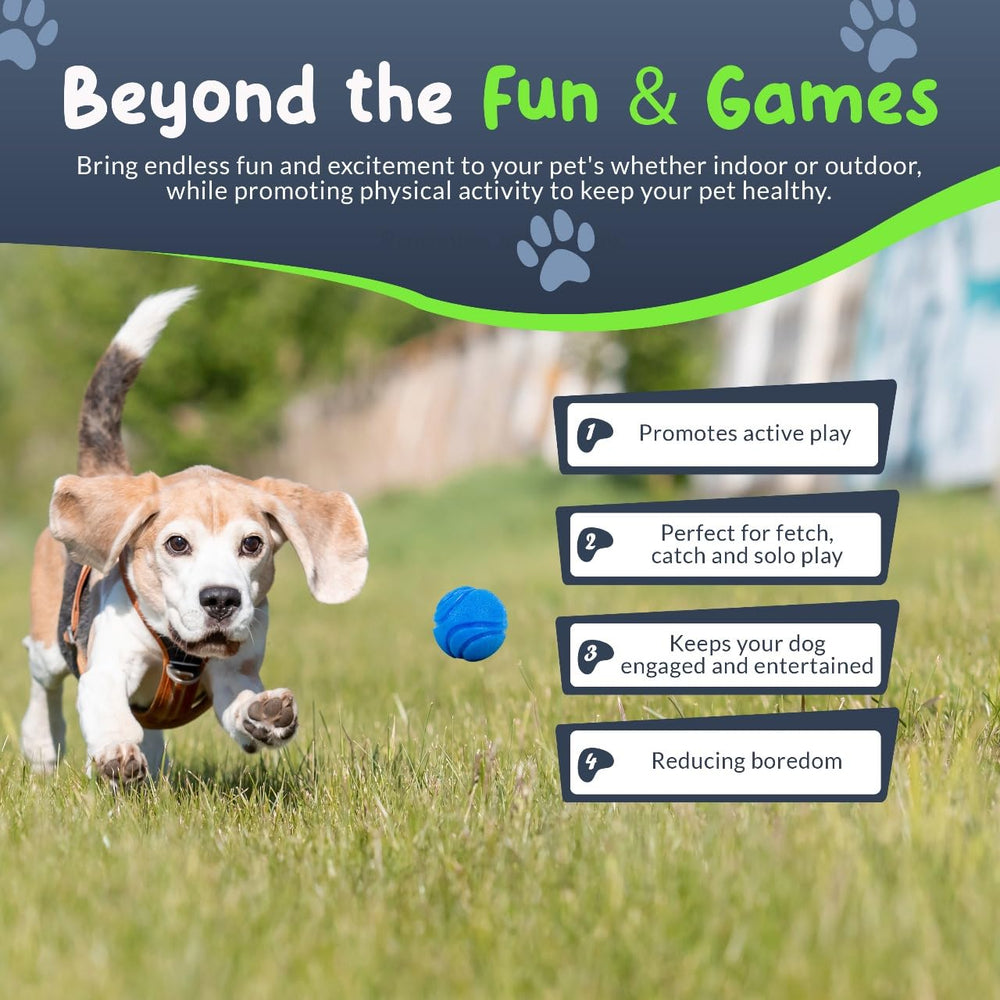 Petite Paws SuperFetch green ball, 1.5 inch, great for indoor fetch and dental-friendly play.