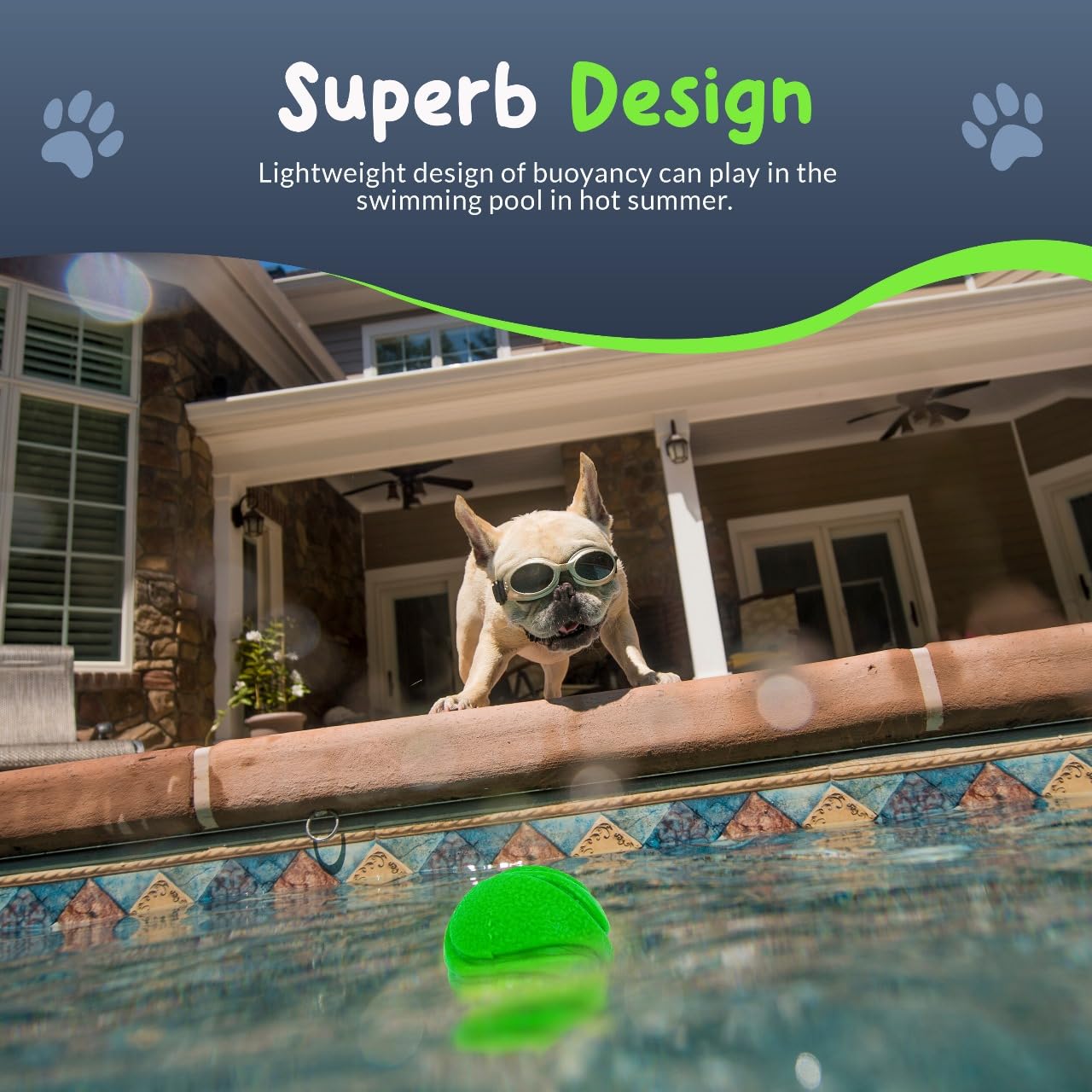 Petite Paws SuperFetch purple ball, perfect for timed fetch and reward-based training sessions.