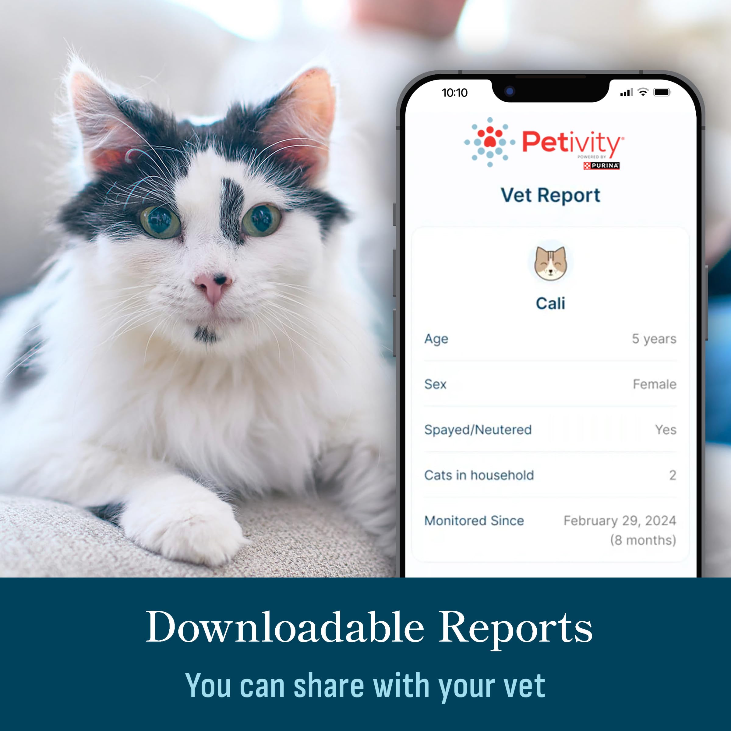 Petivity weight chart visualizes your cat's weight changes over time.