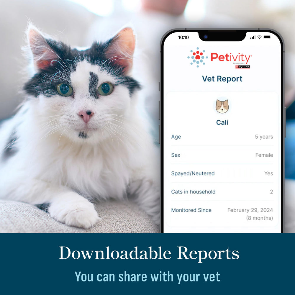 Petivity weight chart visualizes your cat's weight changes over time.