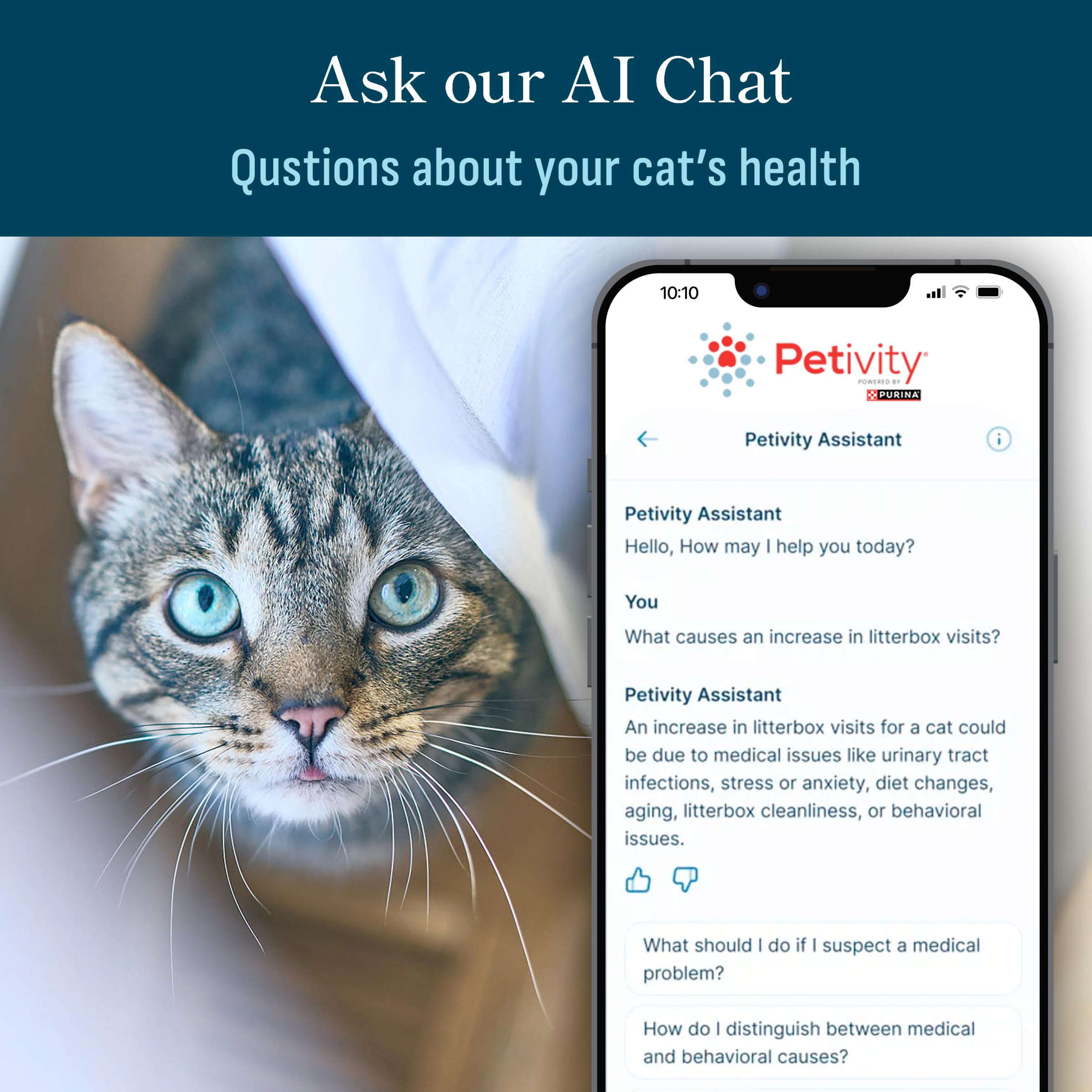 Petivity litter usage trends help you understand daily habits.