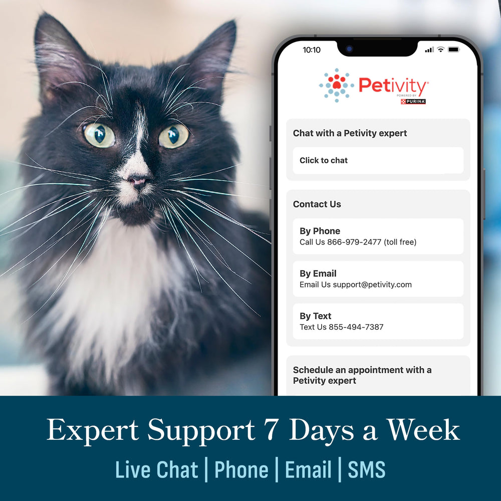 Petivity monthly health insights provide practical care takeaways.