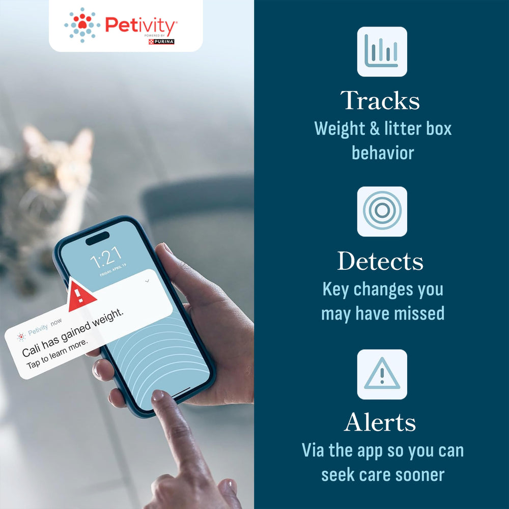 Petivity dashboard displays litter activity trends for easier daily monitoring.