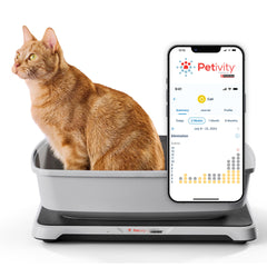 Petivity Smart Litter Box Monitor shows cat weight data for proactive wellness insights.