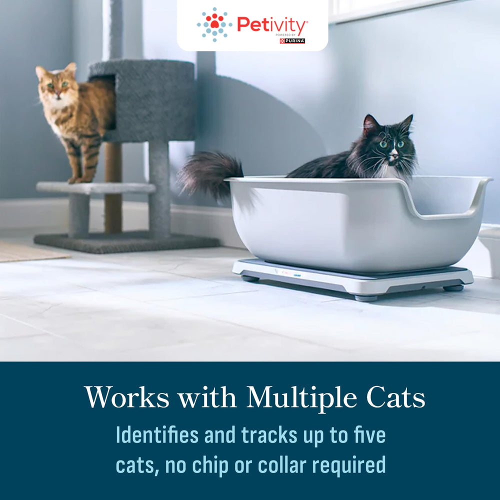 Petivity under-litter-box placement positions monitors for precise data collection.