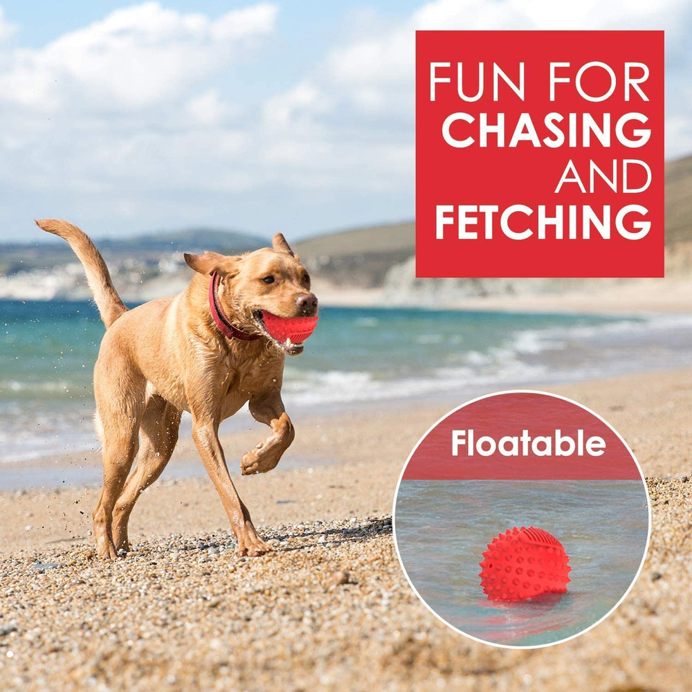 Petizer 3-inch ball durable rubber for aggressive chewers.