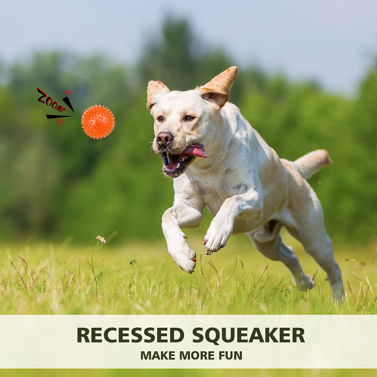 Petizer 2.5in durable TPR material for long-lasting play