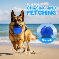 Petizer squeaky ball in action during fetch demonstrates durable rubber for aggressive chewers.