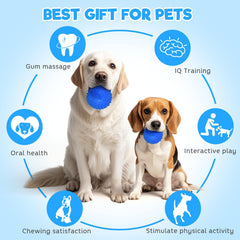 Petizer 4-inch squeaky ball being chewed by a dog to show durability.