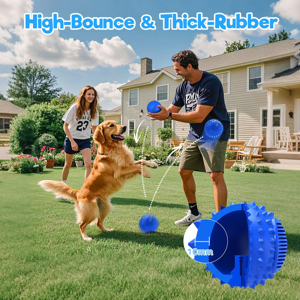 Petizer 4-inch squeaky ball close-up showing meat flavor to boost playtime.