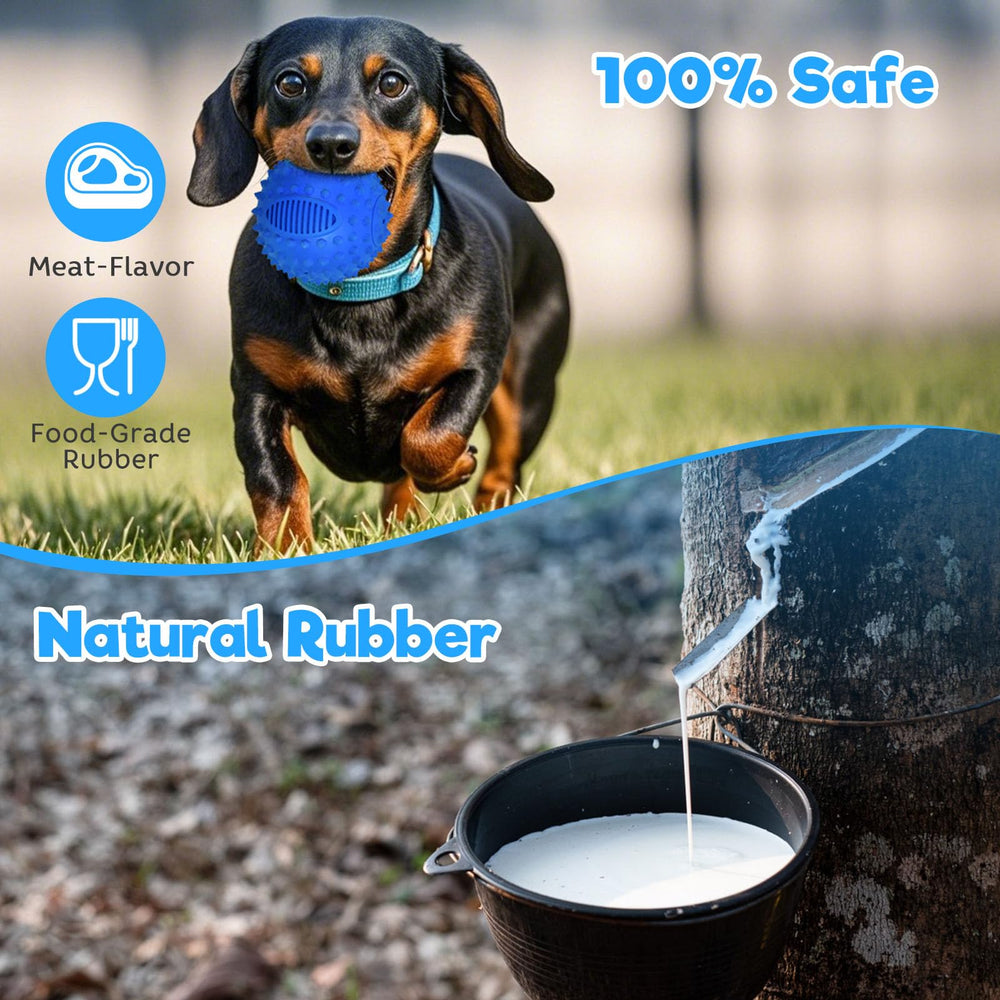 Petizer 4-inch squeaky ball packaging display to highlight product details.