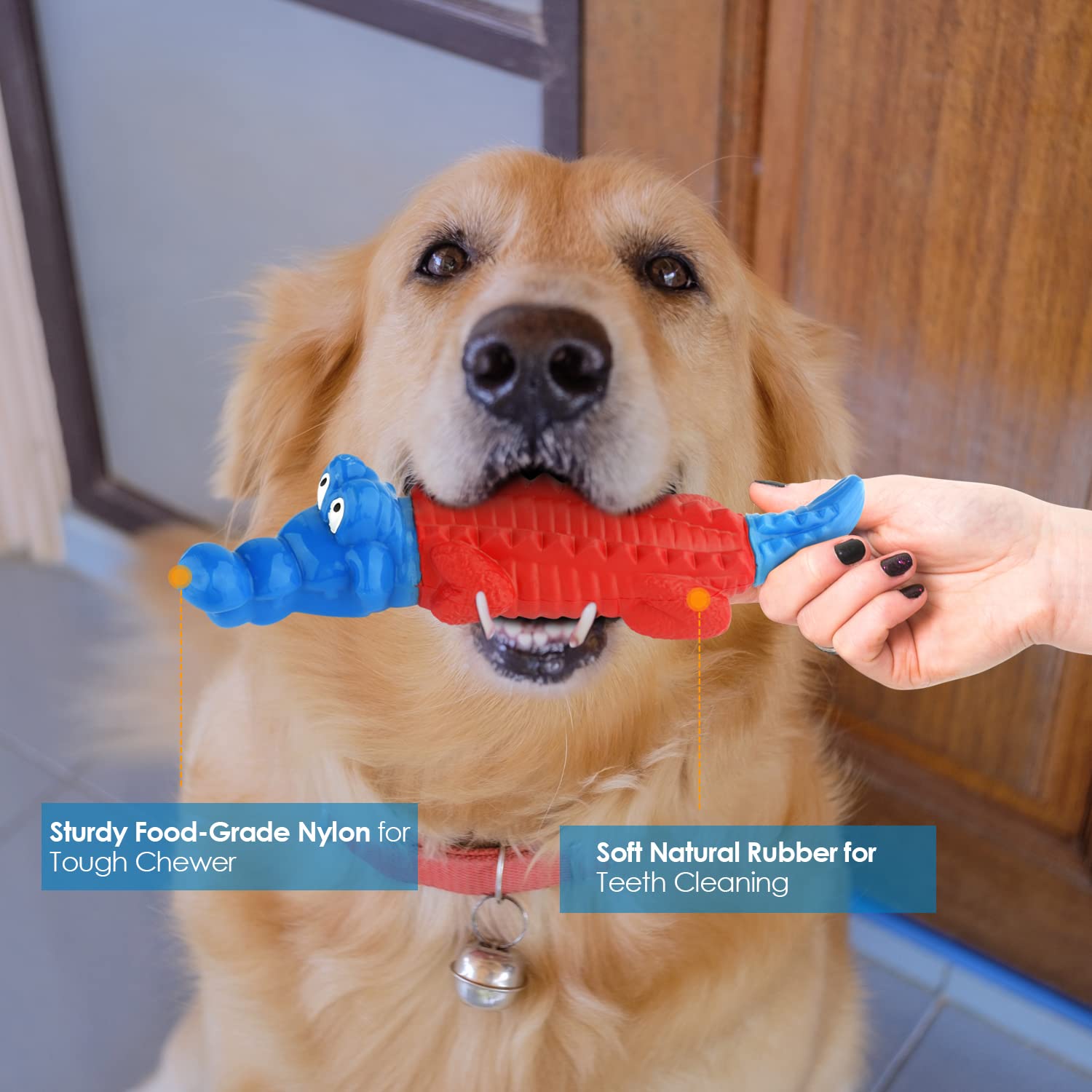 petizer alligator dog toy blue - flavor-driven chewing that entertains and tires energy