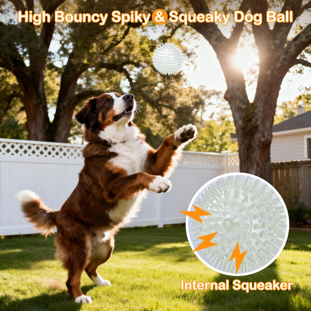 Petizer close-up shows photoluminescent material for easy night spotting.