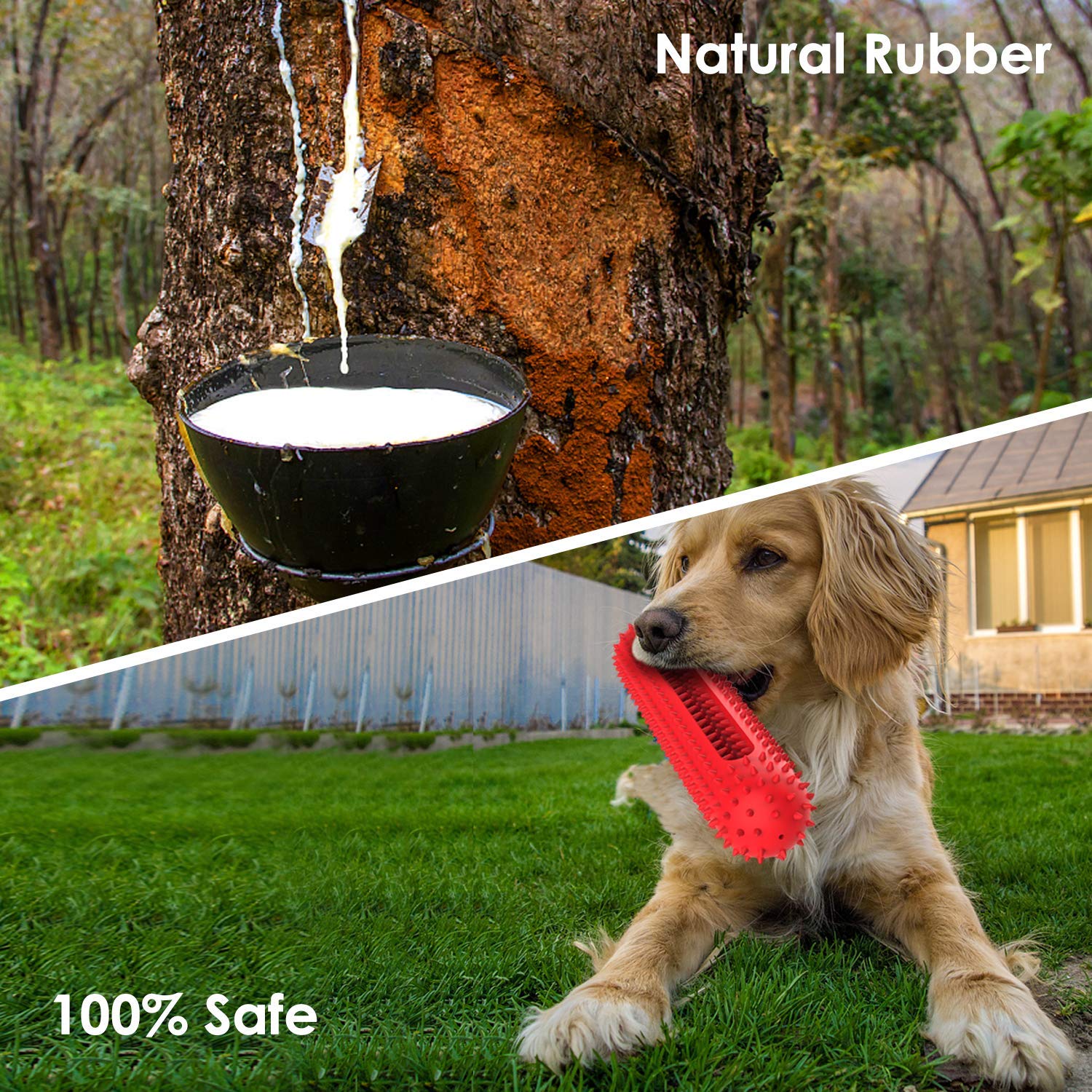 Petizer safe non-toxic rubber provides peace of mind during playtime