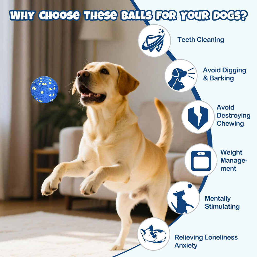 Petizer ETPU dog balls tested for aggressive chewers, resilient chew toy.