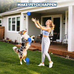 Petizer ETPU dog balls in bright colors for high visibility outdoors.