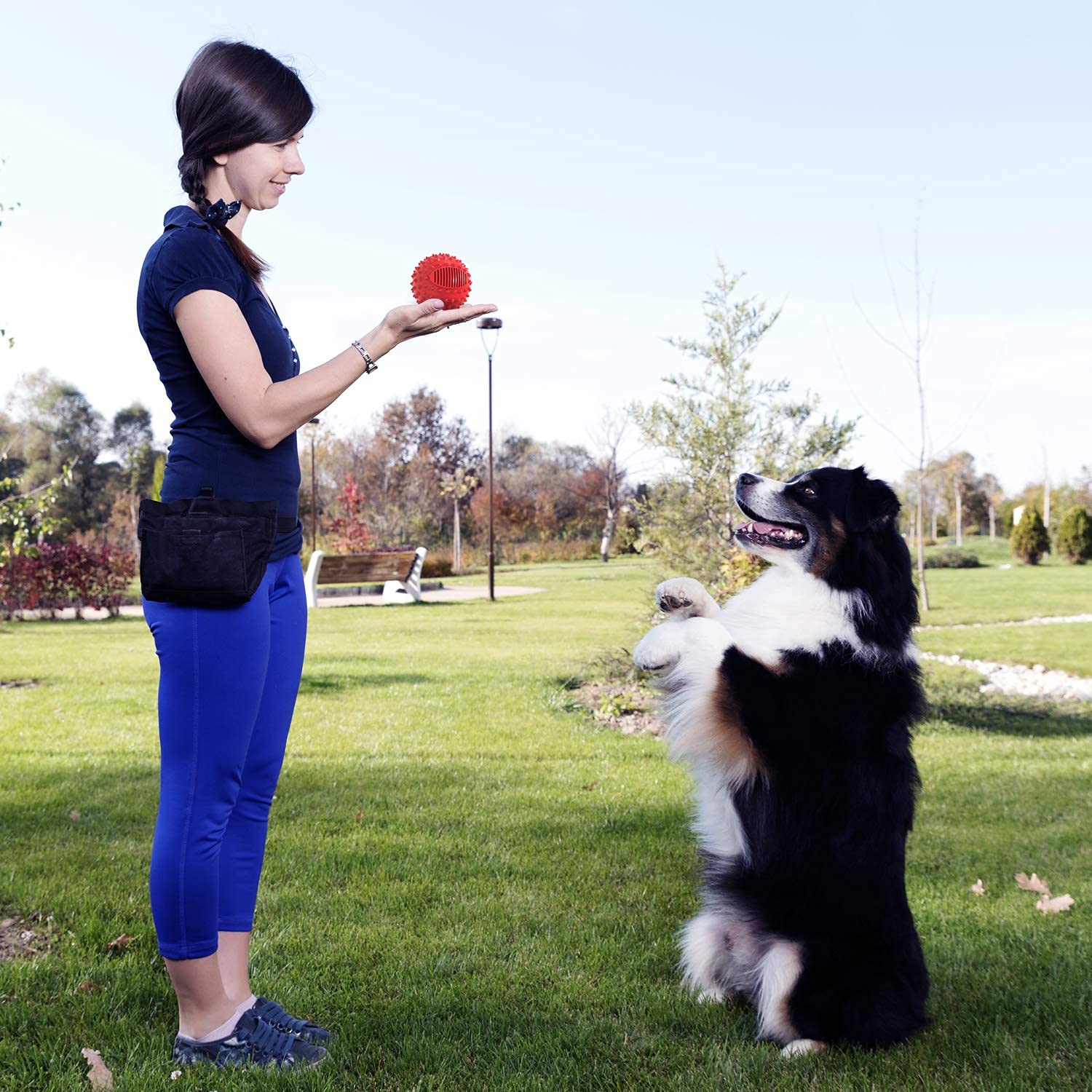 Petizer-fetch-play-ball ideal for outdoor runs and yard games