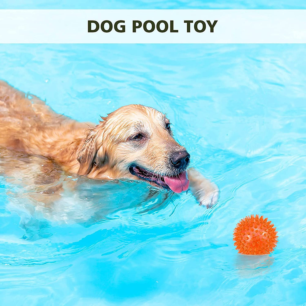 Petizer floating dog ball pool ready for water games and splashy fun