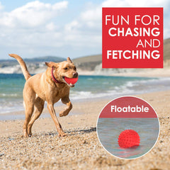 Petizer-floating-squeaky-ball enables water play and poolside fun