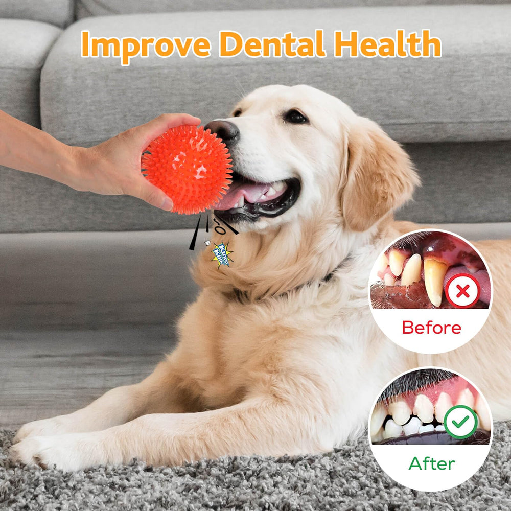 Petizer durable food-grade non-toxic TPR material emphasizes safety and long-lasting fun.