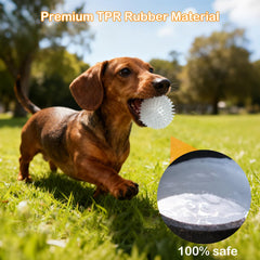 Petizer glow ball 2.5-inch with soft spikes massaging gums during chew.