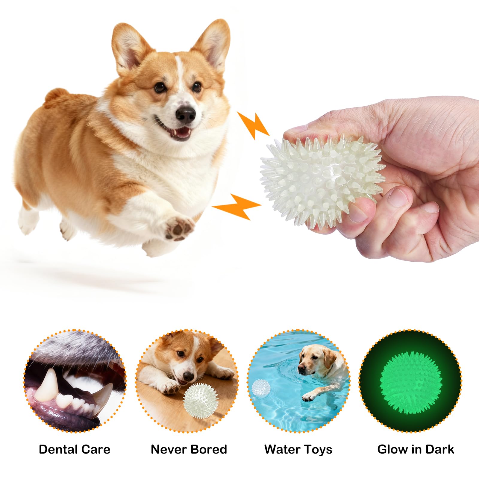 Petizer glow ball squeaky feature highlighted for night-time training sessions.