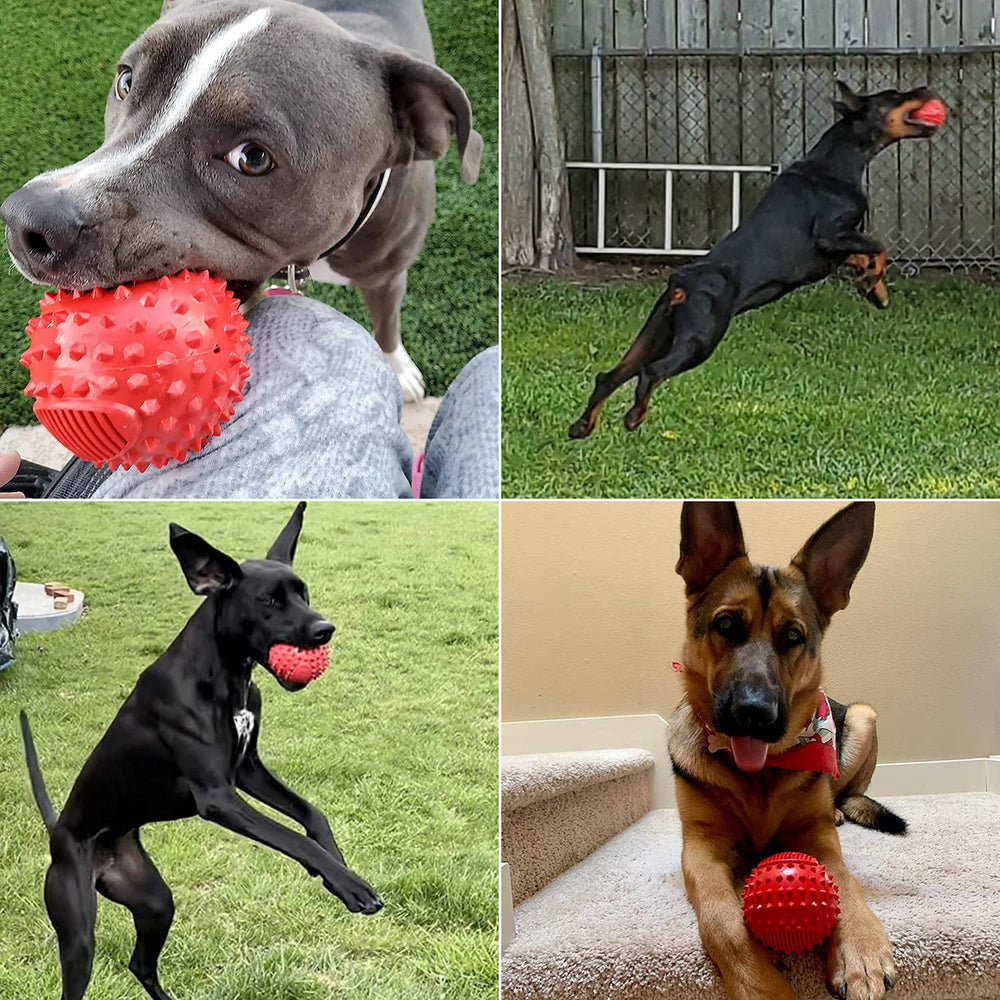 Petizer-indestructible-rubber-ball resists heavy chewing for longer fetch sessions