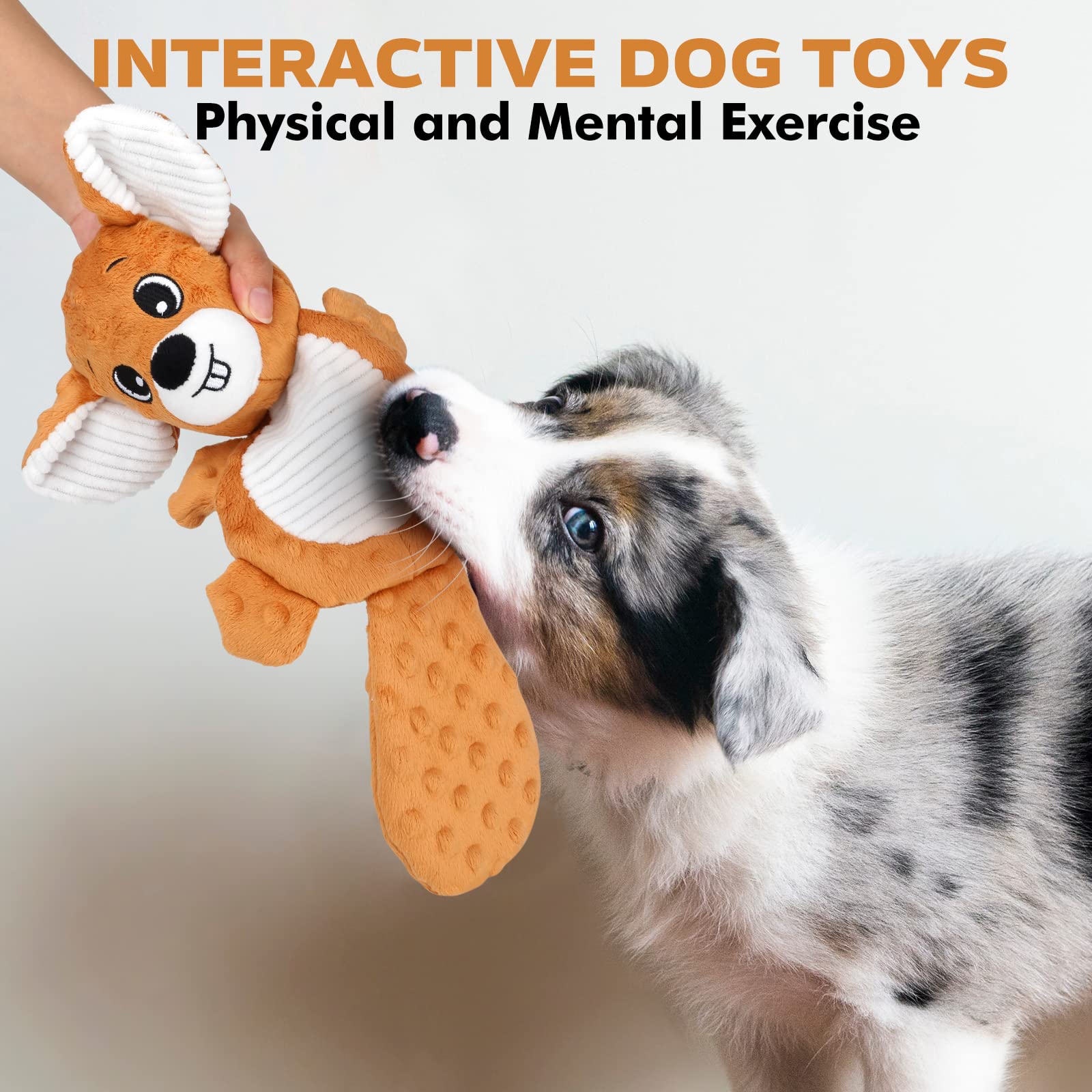 Petizer plush squeaky raccoon toy with crinkle sound for longer play sessions.