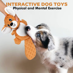 Petizer plush squeaky raccoon toy with crinkle sound for longer play sessions.