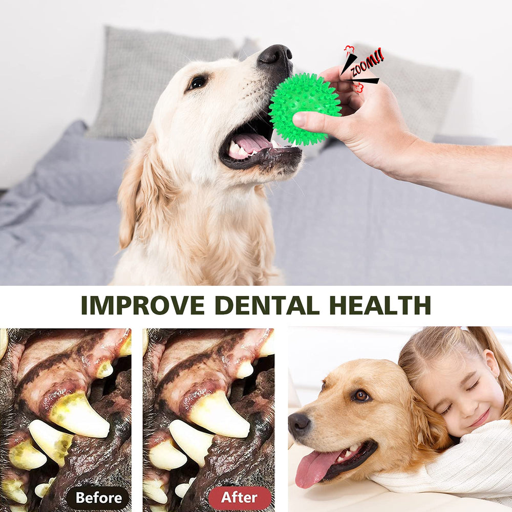 Petizer spiky chew ball dog toy with textured surface for gums.