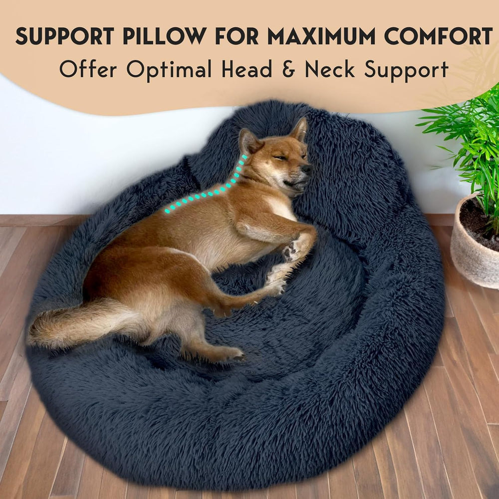 PetJett calming dog bed with 8-inch rim supports head and neck