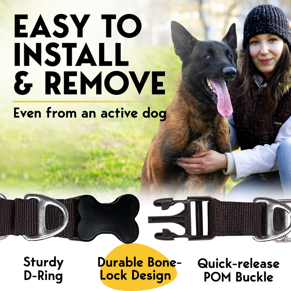PetJett prong collar D-ring leash attachment enables secure walks.
