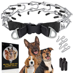 PetJett prong collar stainless steel close-up shows adjustable fit for safe training.