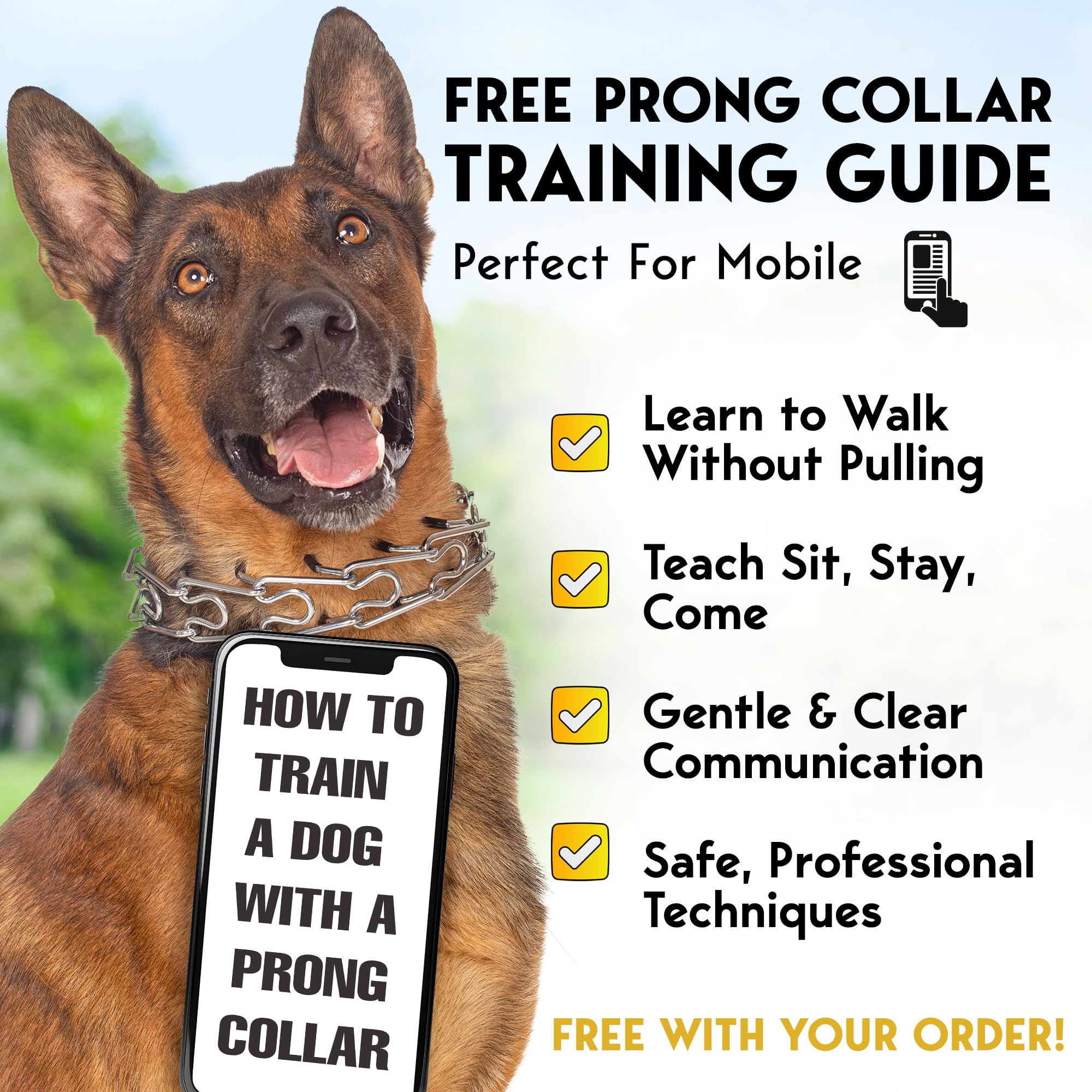 PetJett walking-ready collar with quick-release and secure design.