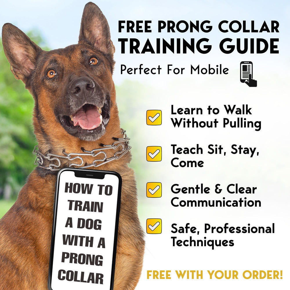 PetJett walking-ready collar with quick-release and secure design.