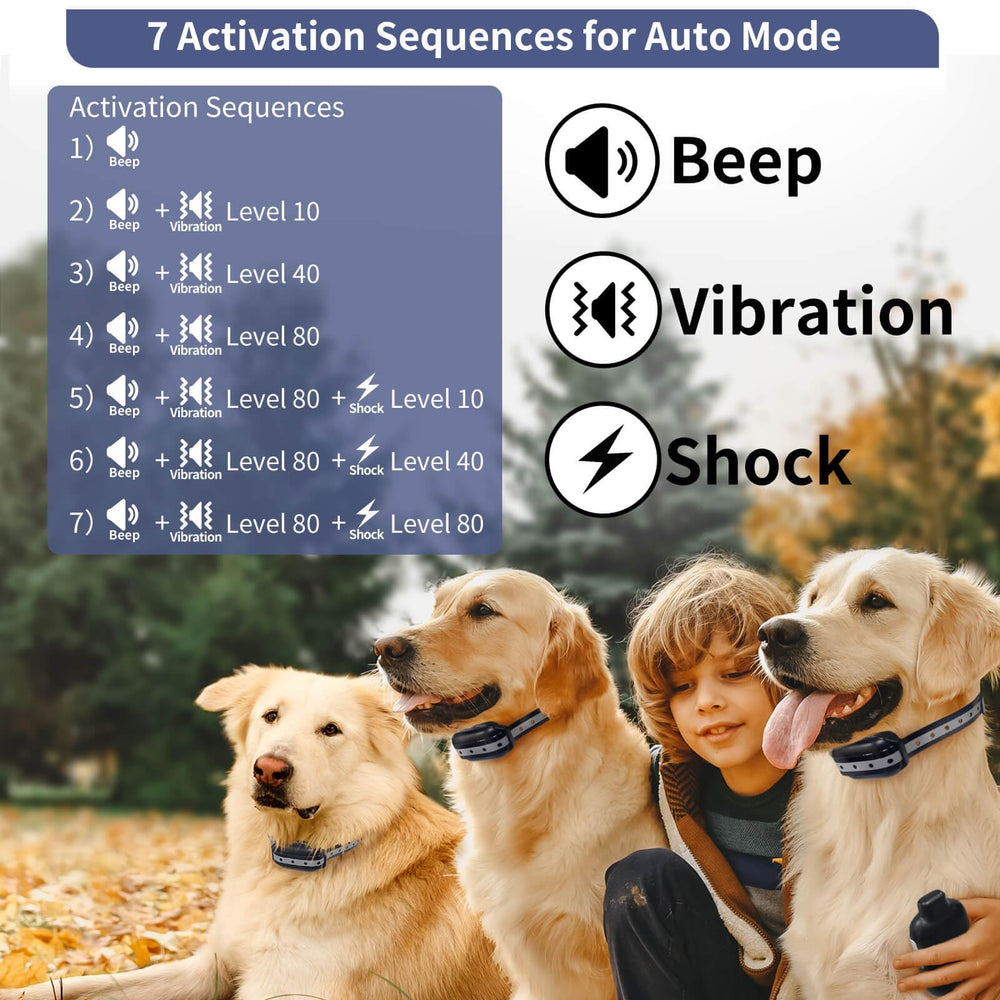 PetJoy 3-dog pairing setup for individualized training