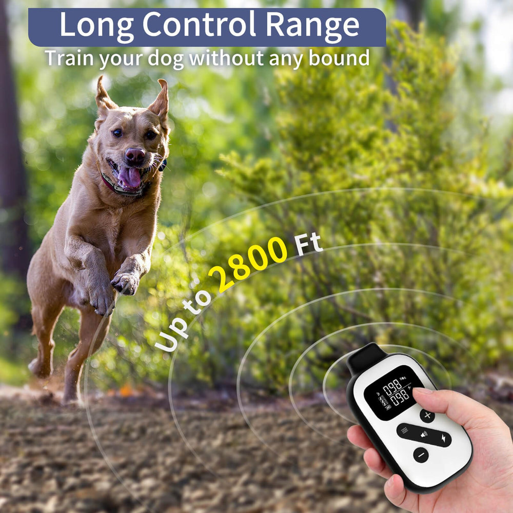PetJoy 3600 ft range illustration enables far-range training