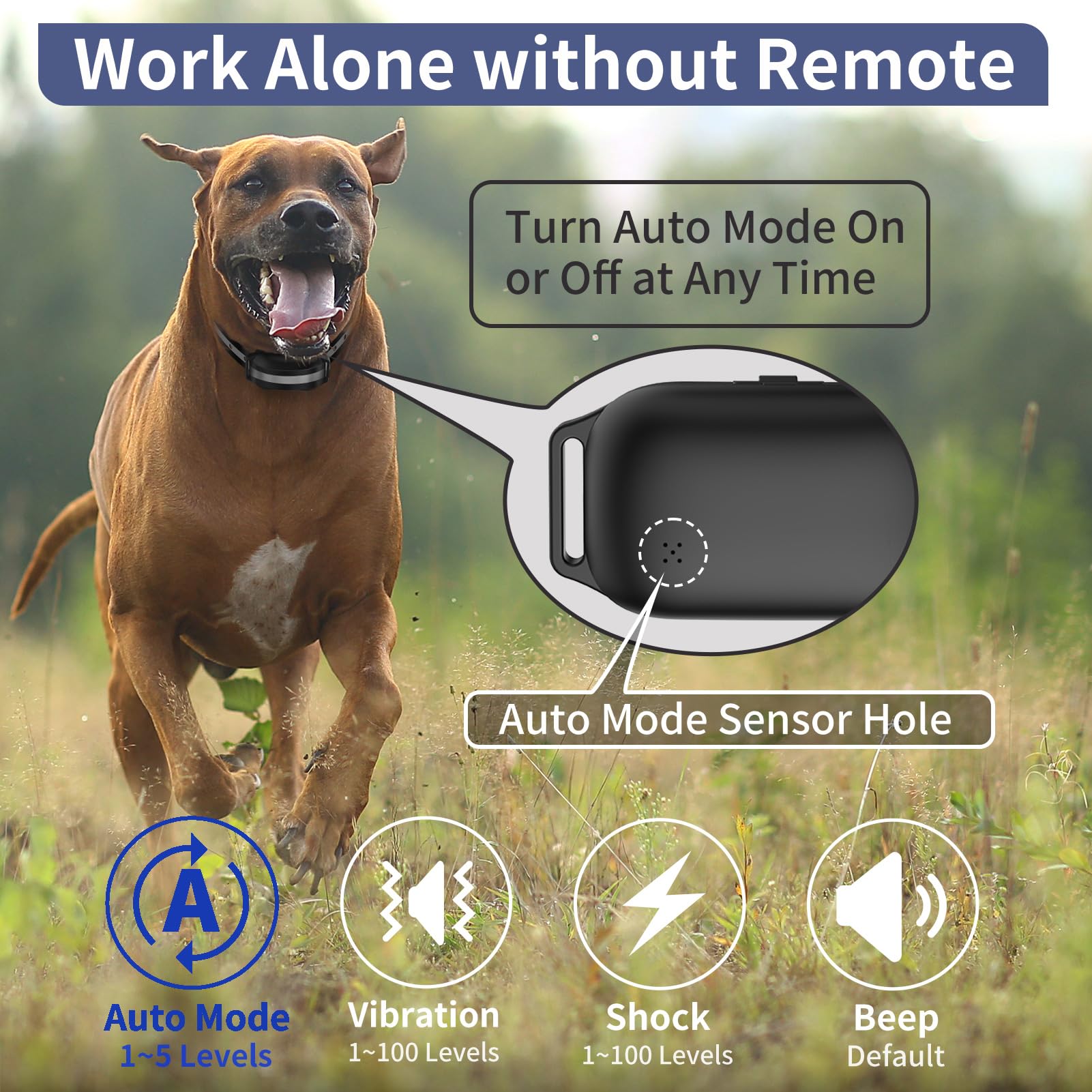 PetJoy automatic bark collar in auto mode for day-to-day use