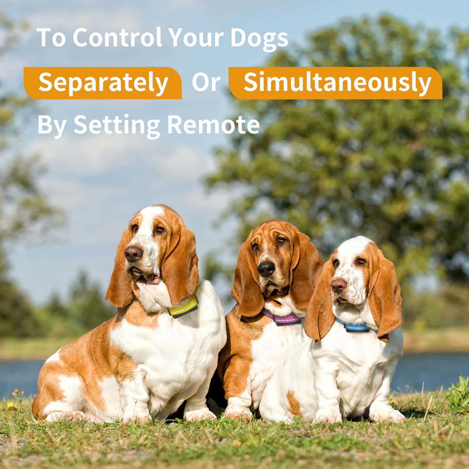 PetJoy bark collar remote-control setup image showing multi-dog management options.