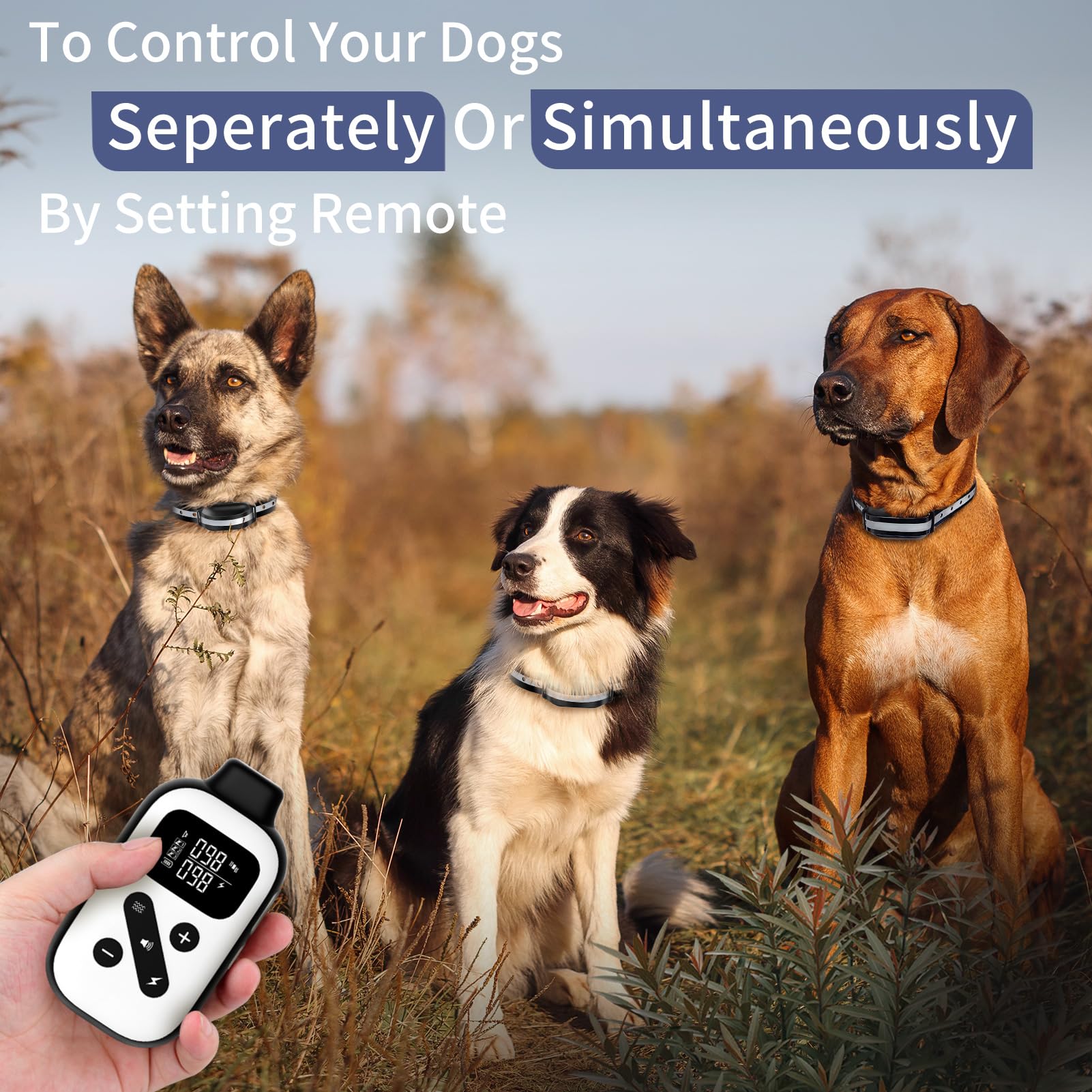 PetJoy bark collar remote control demonstrates multiple dog training